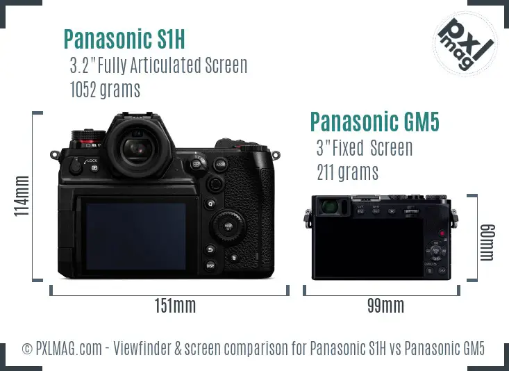 Panasonic S1H vs Panasonic GM5 Screen and Viewfinder comparison