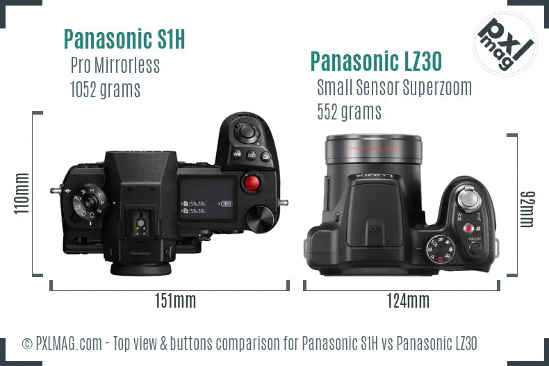 Panasonic S1H vs Panasonic LZ30 top view buttons comparison