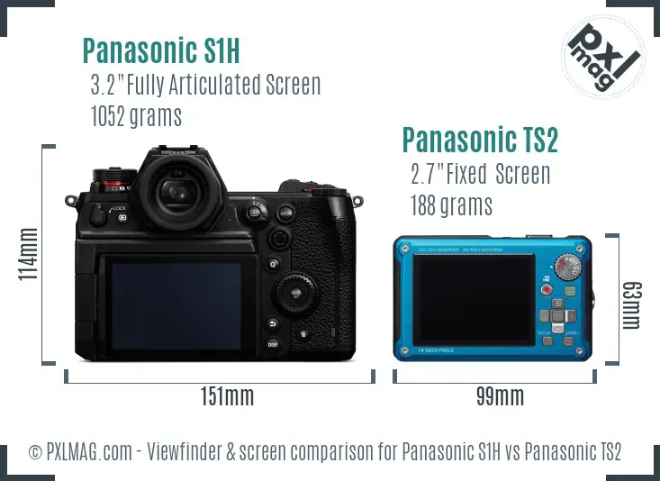 Panasonic S1H vs Panasonic TS2 Screen and Viewfinder comparison