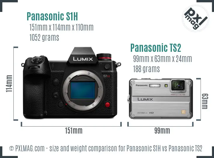 Panasonic S1H vs Panasonic TS2 size comparison