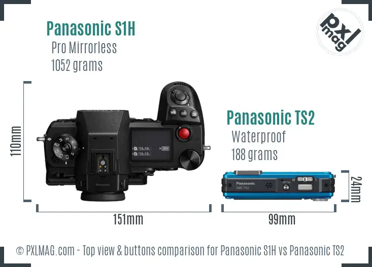 Panasonic S1H vs Panasonic TS2 top view buttons comparison