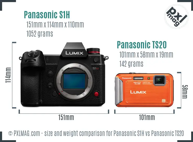 Panasonic S1H vs Panasonic TS20 size comparison