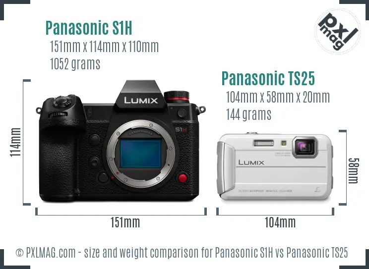 Panasonic S1H vs Panasonic TS25 size comparison