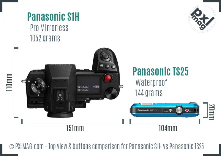 Panasonic S1H vs Panasonic TS25 top view buttons comparison