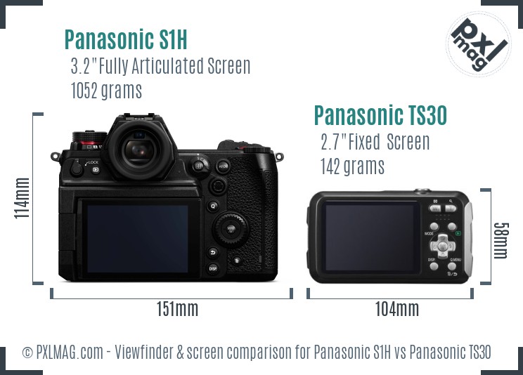 Panasonic S1H vs Panasonic TS30 Screen and Viewfinder comparison