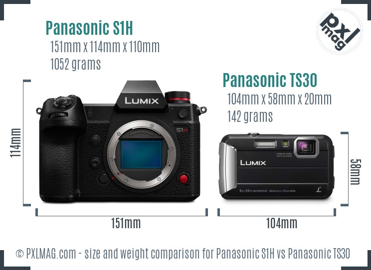 Panasonic S1H vs Panasonic TS30 size comparison