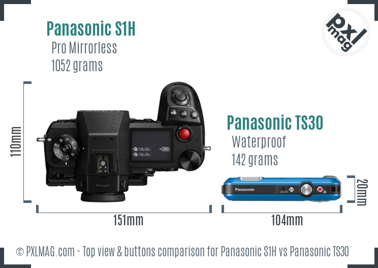 Panasonic S1H vs Panasonic TS30 top view buttons comparison