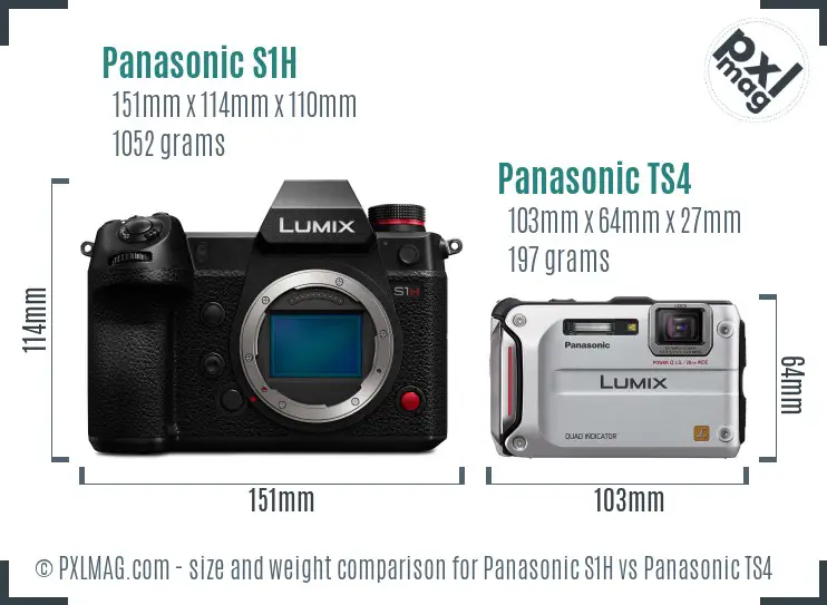 Panasonic S1H vs Panasonic TS4 size comparison