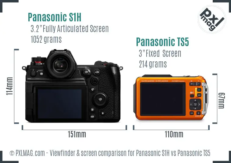 Panasonic S1H vs Panasonic TS5 Screen and Viewfinder comparison