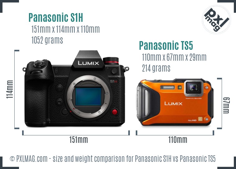 Panasonic S1H vs Panasonic TS5 size comparison