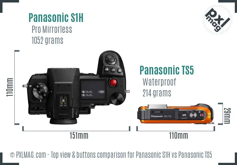 Panasonic S1H vs Panasonic TS5 top view buttons comparison