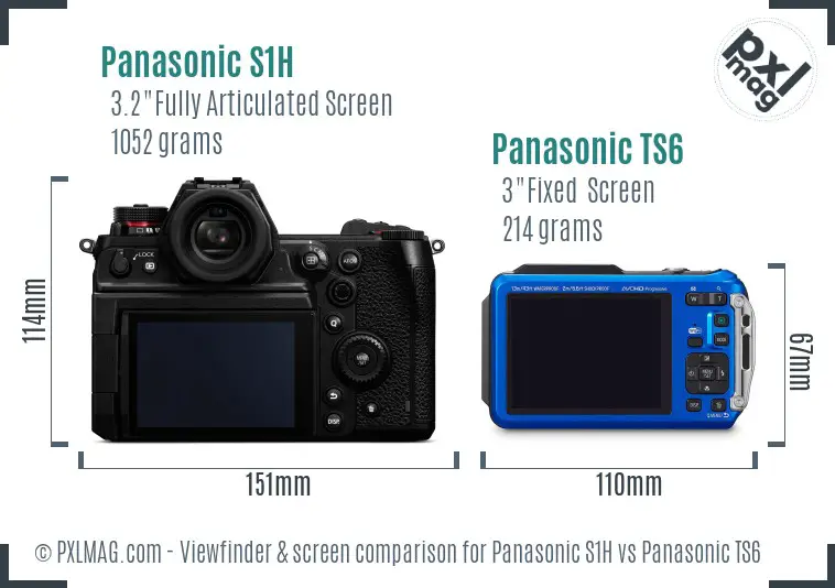 Panasonic S1H vs Panasonic TS6 Screen and Viewfinder comparison