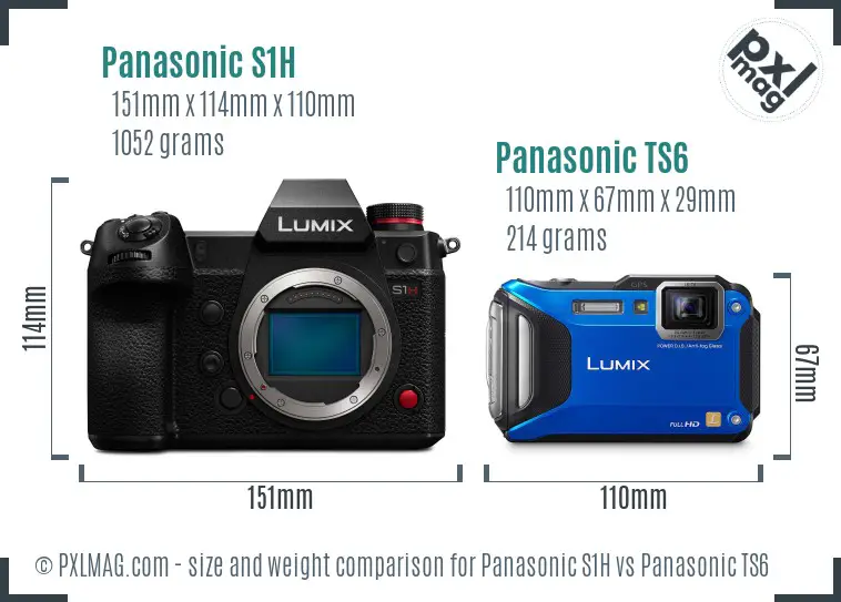 Panasonic S1H vs Panasonic TS6 size comparison