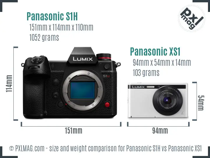 Panasonic S1H vs Panasonic XS1 size comparison