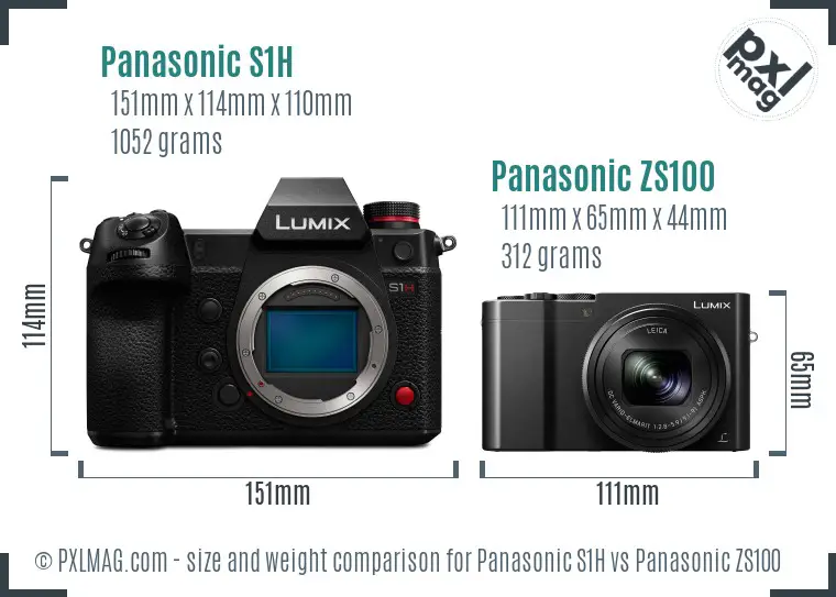 Panasonic S1H vs Panasonic ZS100 size comparison