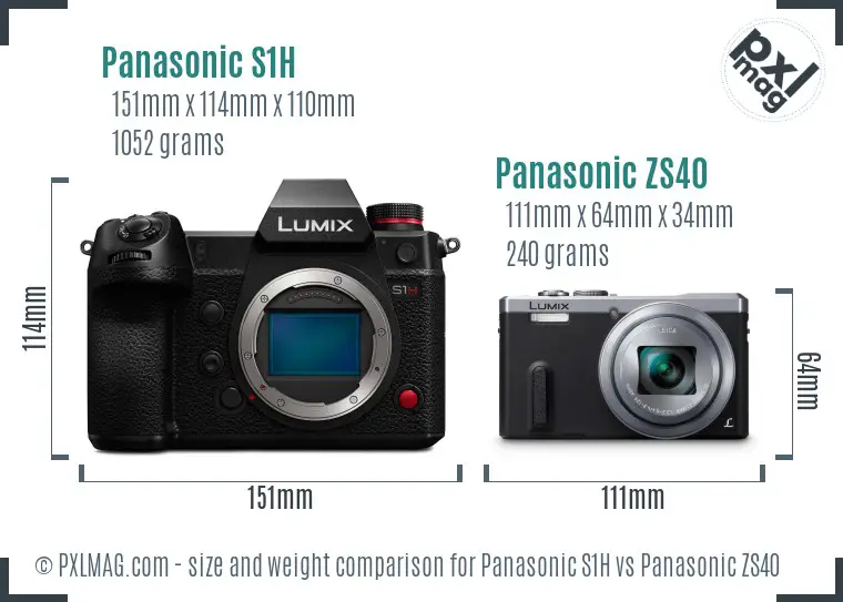 Panasonic S1H vs Panasonic ZS40 size comparison