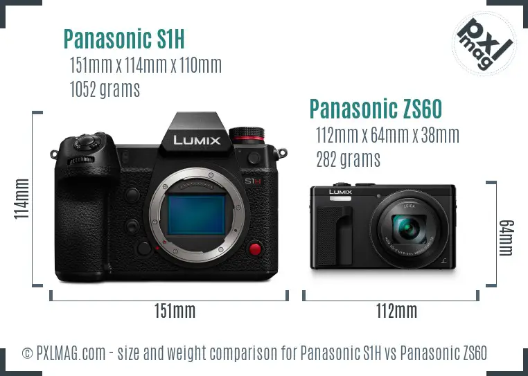 Panasonic S1H vs Panasonic ZS60 size comparison