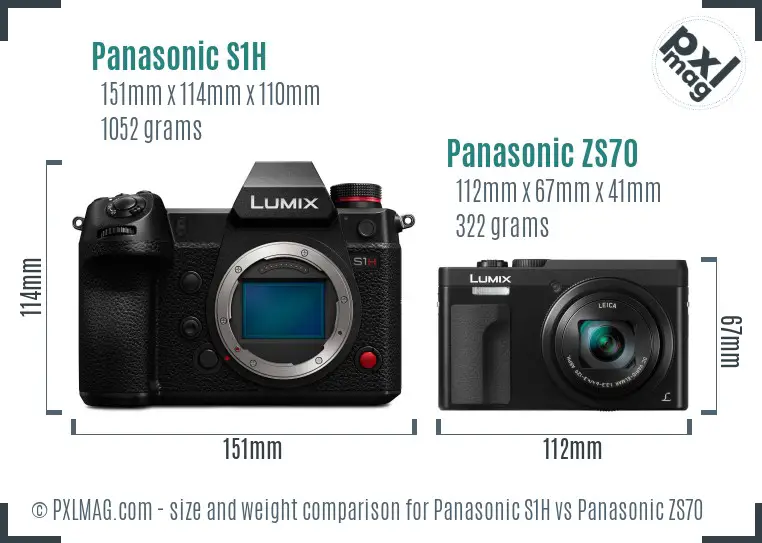 Panasonic S1H vs Panasonic ZS70 size comparison