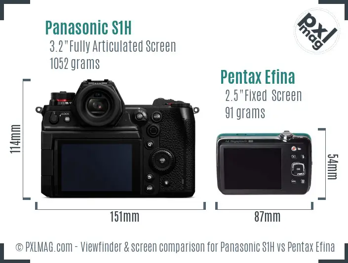 Panasonic S1H vs Pentax Efina Screen and Viewfinder comparison