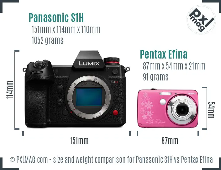 Panasonic S1H vs Pentax Efina size comparison
