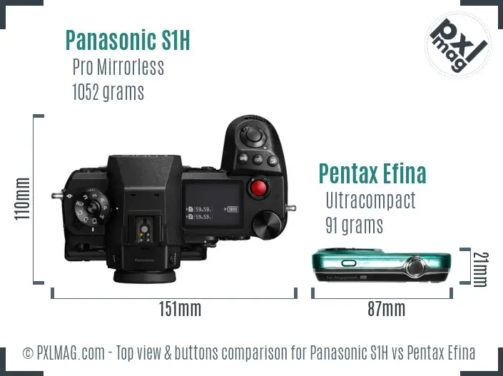 Panasonic S1H vs Pentax Efina top view buttons comparison