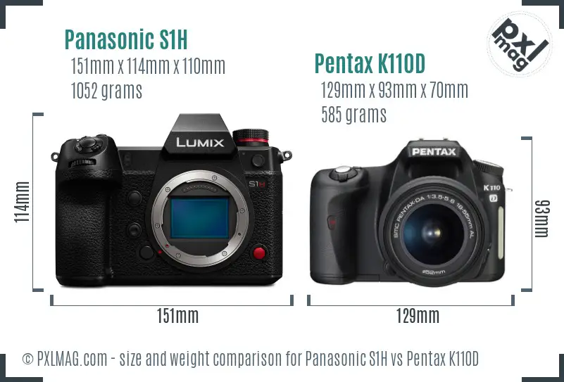Panasonic S1H vs Pentax K110D size comparison