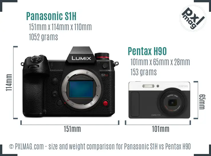 Panasonic S1H vs Pentax H90 size comparison