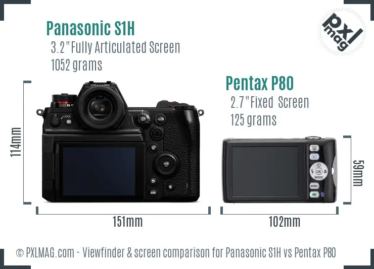 Panasonic S1H vs Pentax P80 Screen and Viewfinder comparison