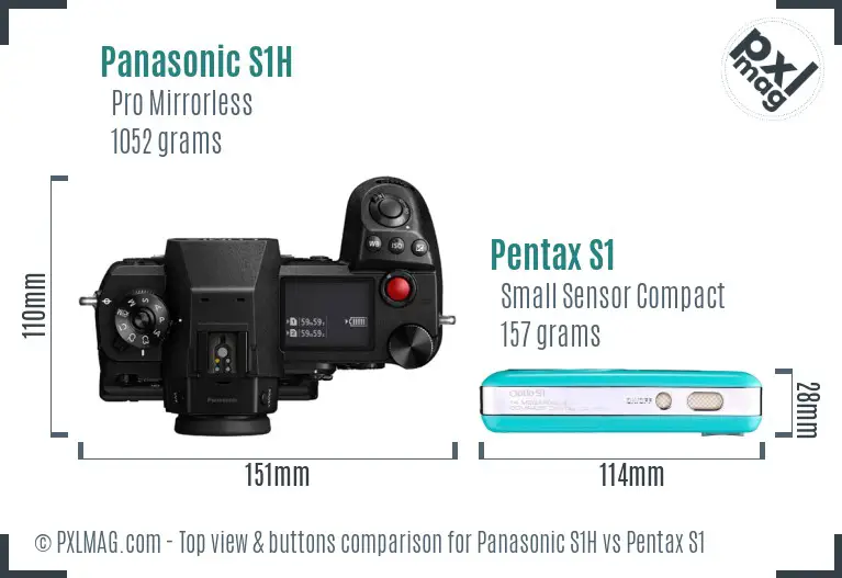 Panasonic S1H vs Pentax S1 top view buttons comparison