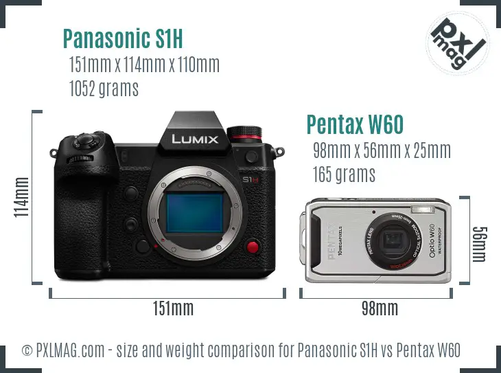 Panasonic S1H vs Pentax W60 size comparison