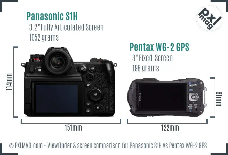 Panasonic S1H vs Pentax WG-2 GPS Screen and Viewfinder comparison