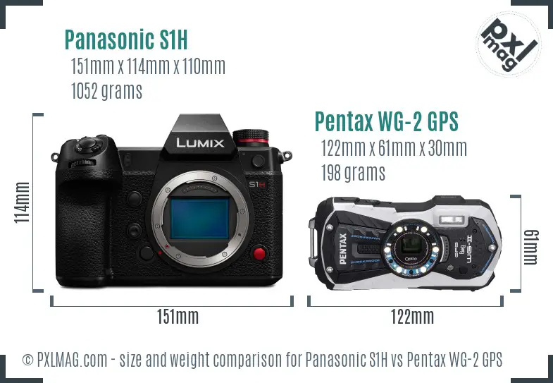 Panasonic S1H vs Pentax WG-2 GPS size comparison