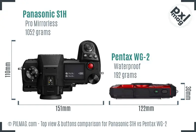 Panasonic S1H vs Pentax WG-2 top view buttons comparison