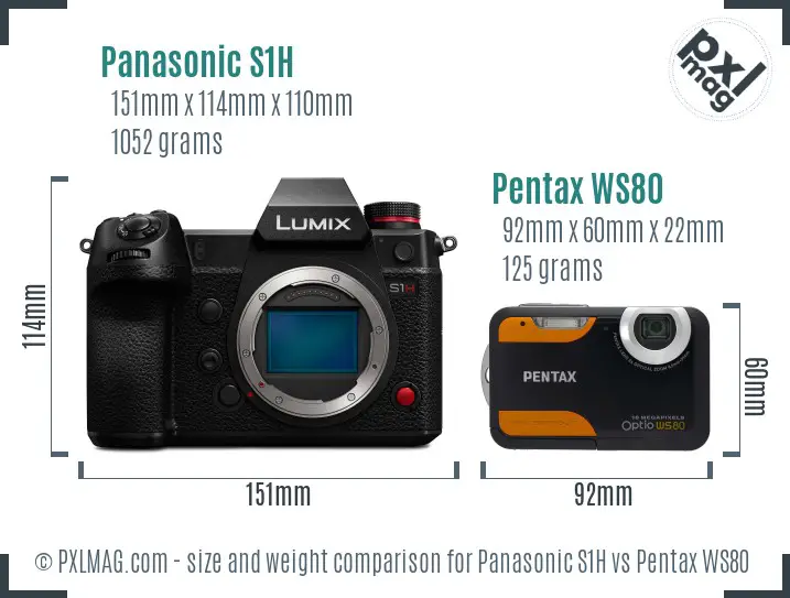 Panasonic S1H vs Pentax WS80 size comparison