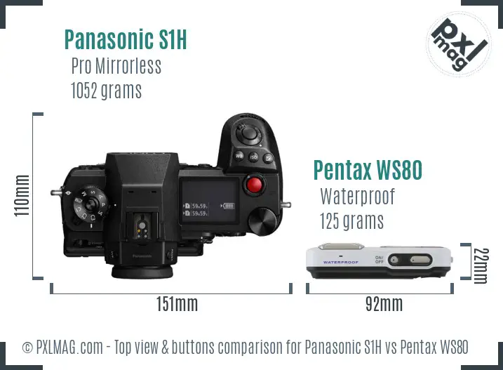 Panasonic S1H vs Pentax WS80 top view buttons comparison