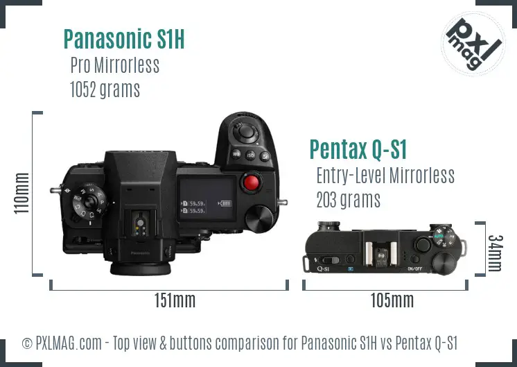 Panasonic S1H vs Pentax Q-S1 top view buttons comparison