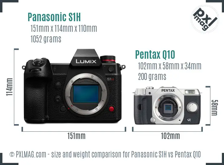 Panasonic S1H vs Pentax Q10 size comparison
