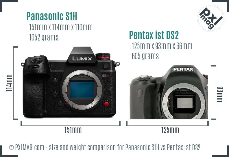 Panasonic S1H vs Pentax ist DS2 size comparison