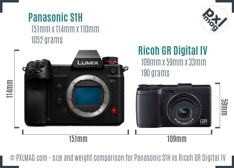 Panasonic S1H vs Ricoh GR Digital IV size comparison