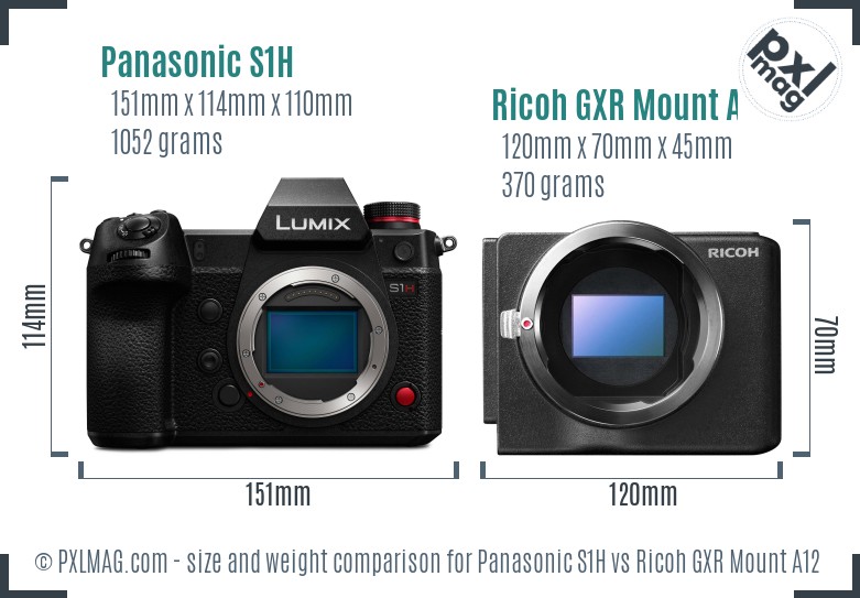Panasonic S1H vs Ricoh GXR Mount A12 size comparison