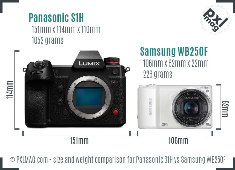 Panasonic S1H vs Samsung WB250F size comparison