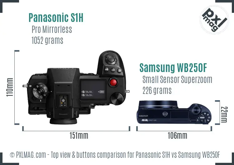 Panasonic S1H vs Samsung WB250F top view buttons comparison