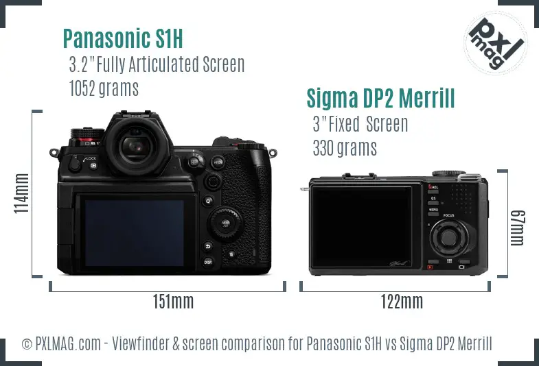 Panasonic S1H vs Sigma DP2 Merrill Screen and Viewfinder comparison