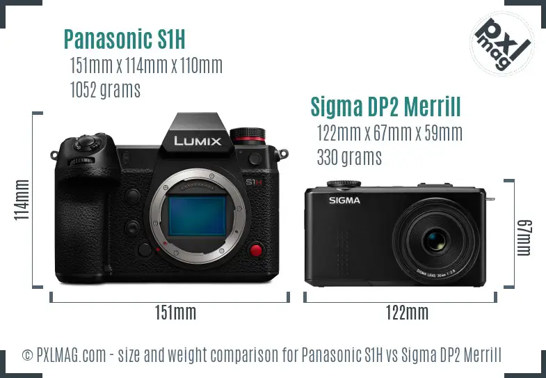 Panasonic S1H vs Sigma DP2 Merrill size comparison