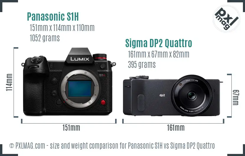 Panasonic S1H vs Sigma DP2 Quattro size comparison