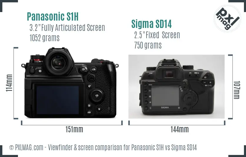 Panasonic S1H vs Sigma SD14 Screen and Viewfinder comparison