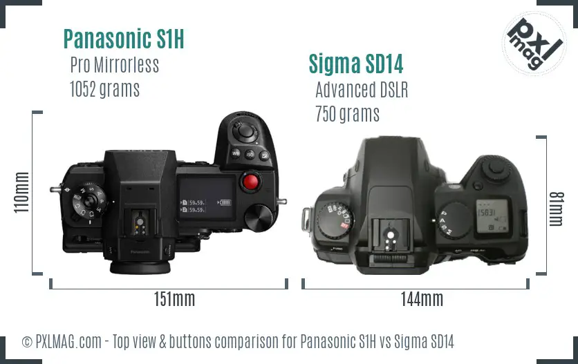 Panasonic S1H vs Sigma SD14 top view buttons comparison