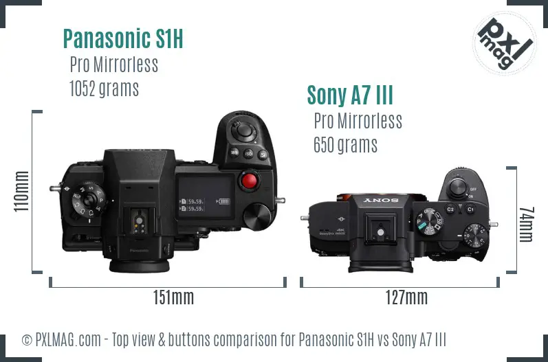 Panasonic S1H vs Sony A7 III top view buttons comparison