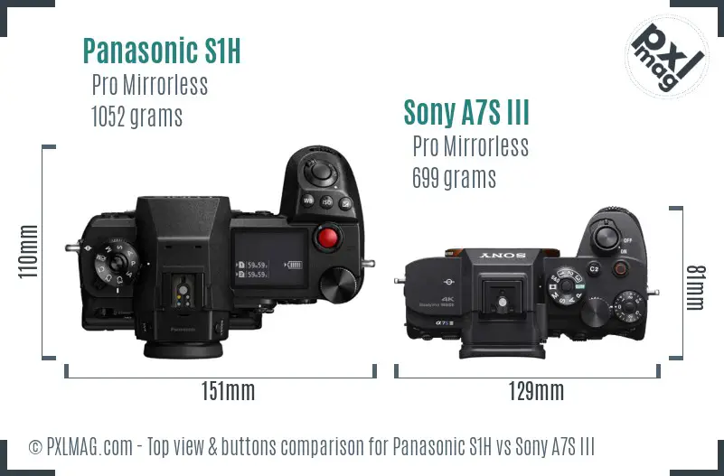 Panasonic S1H vs Sony A7S III top view buttons comparison