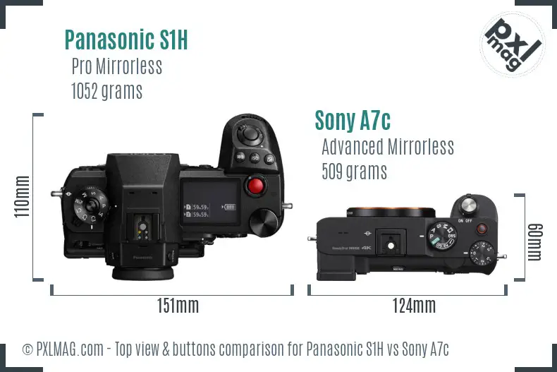 Panasonic S1H vs Sony A7c top view buttons comparison